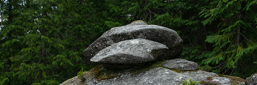 Rock Garden